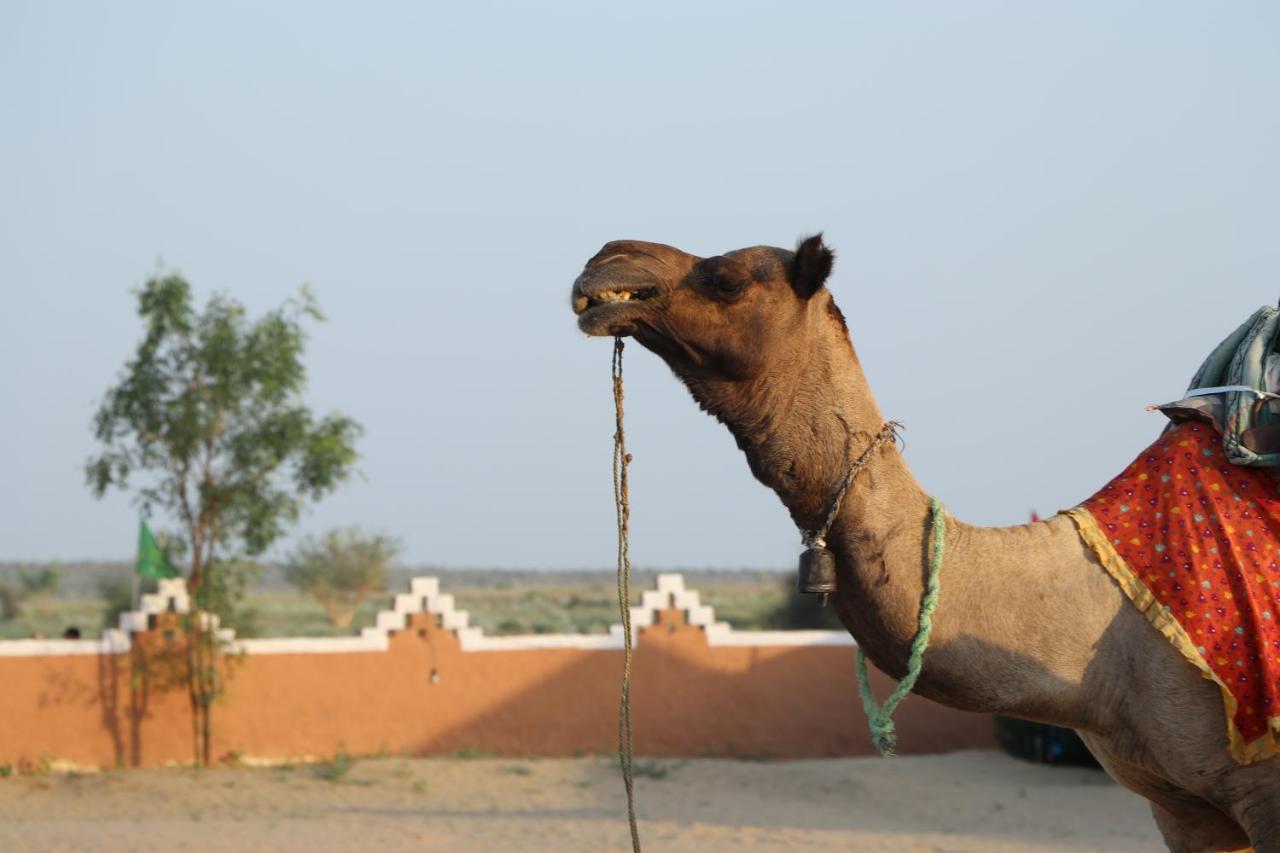 Sunny Desert Camp Kūri 外观 照片