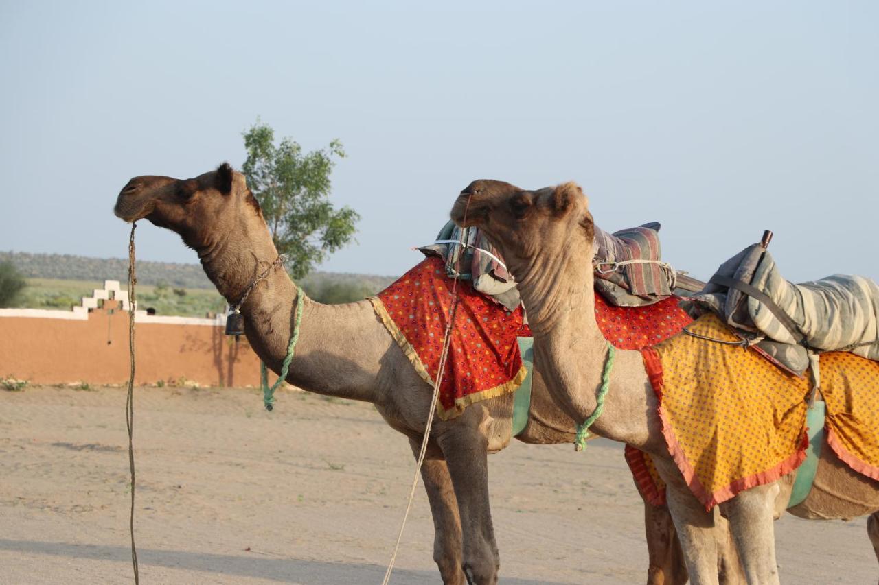Sunny Desert Camp Kūri 外观 照片