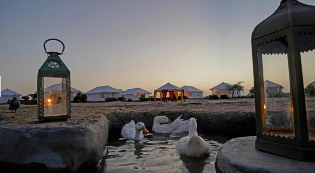 Sunny Desert Camp Kūri 外观 照片