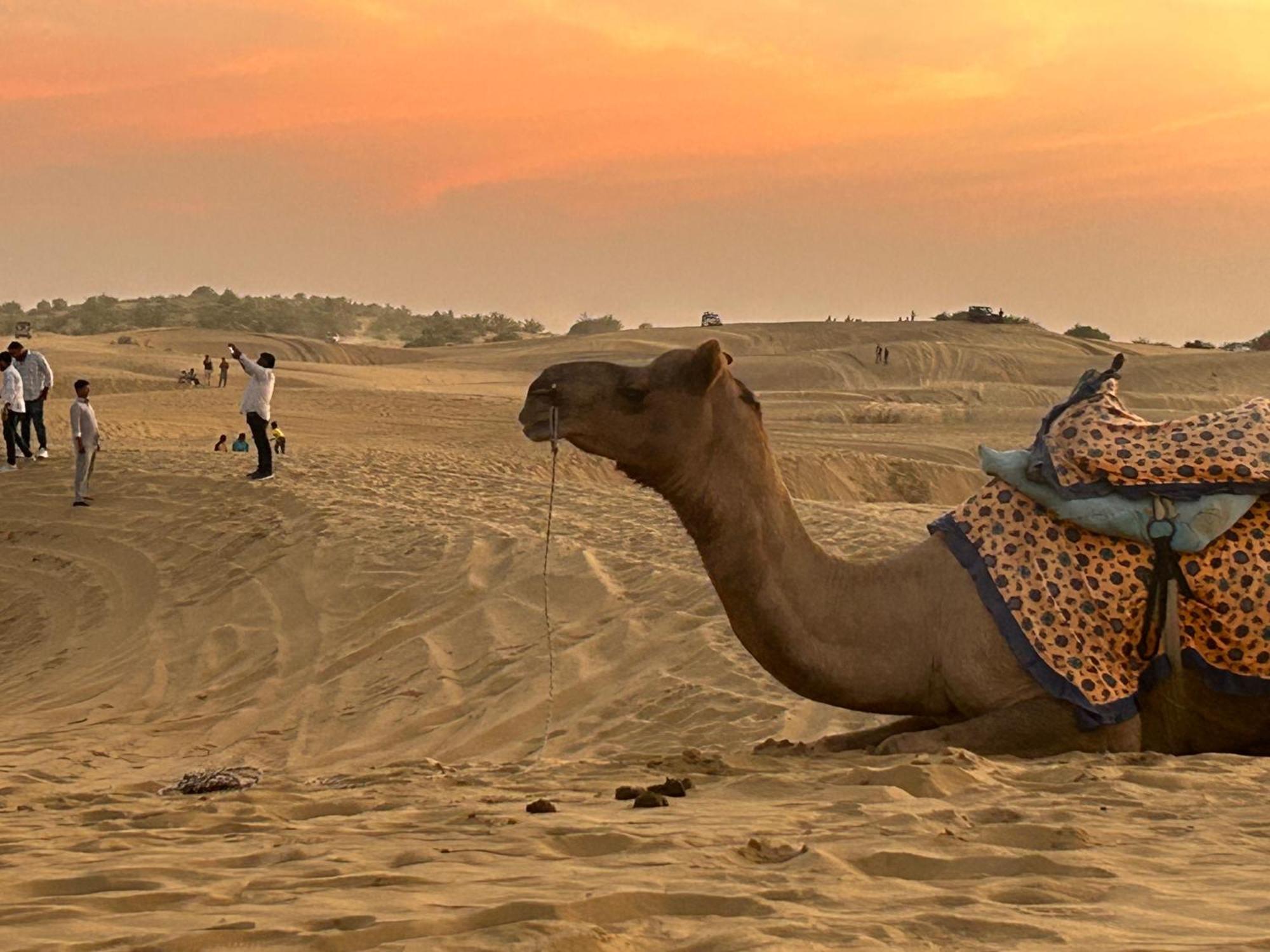 Sunny Desert Camp Kūri 外观 照片