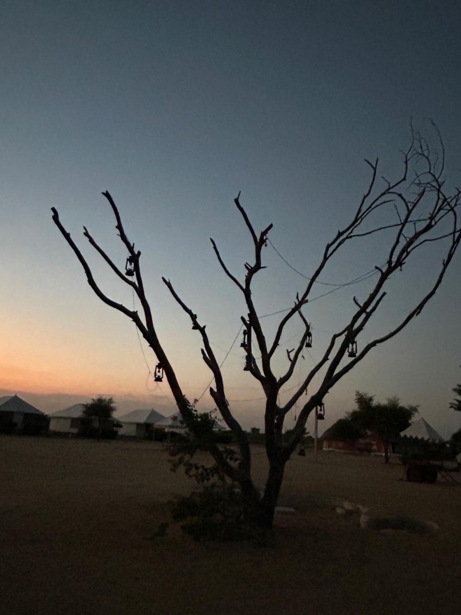 Sunny Desert Camp Kūri 外观 照片