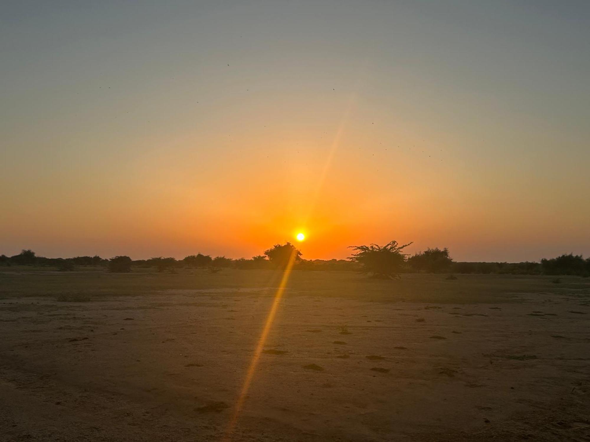 Sunny Desert Camp Kūri 外观 照片